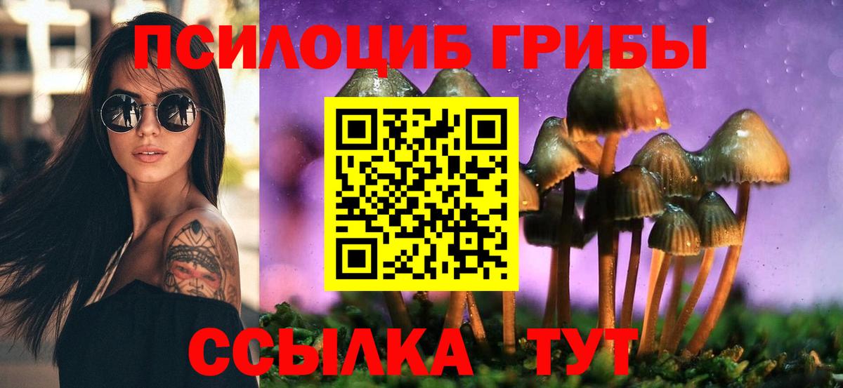 Галлюциногенные грибы GOLDEN TEACHER Сыктывкар