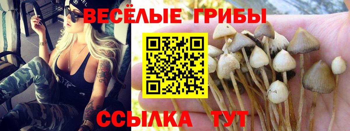 Сыктывкар  КОКАИН  Вход с VPN  ГАШИШ  Конопля  МЕФ  