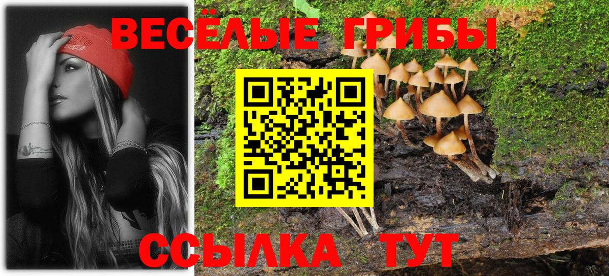 Сыктывкар  хочу   Вход с VPN  Галлюциногенные грибы Cubensis 