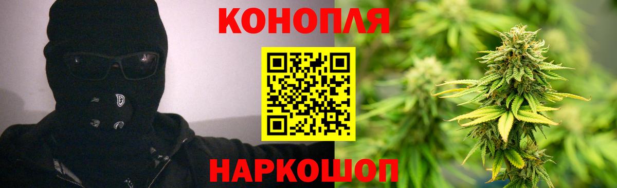 Шишки марихуана конопля Сыктывкар